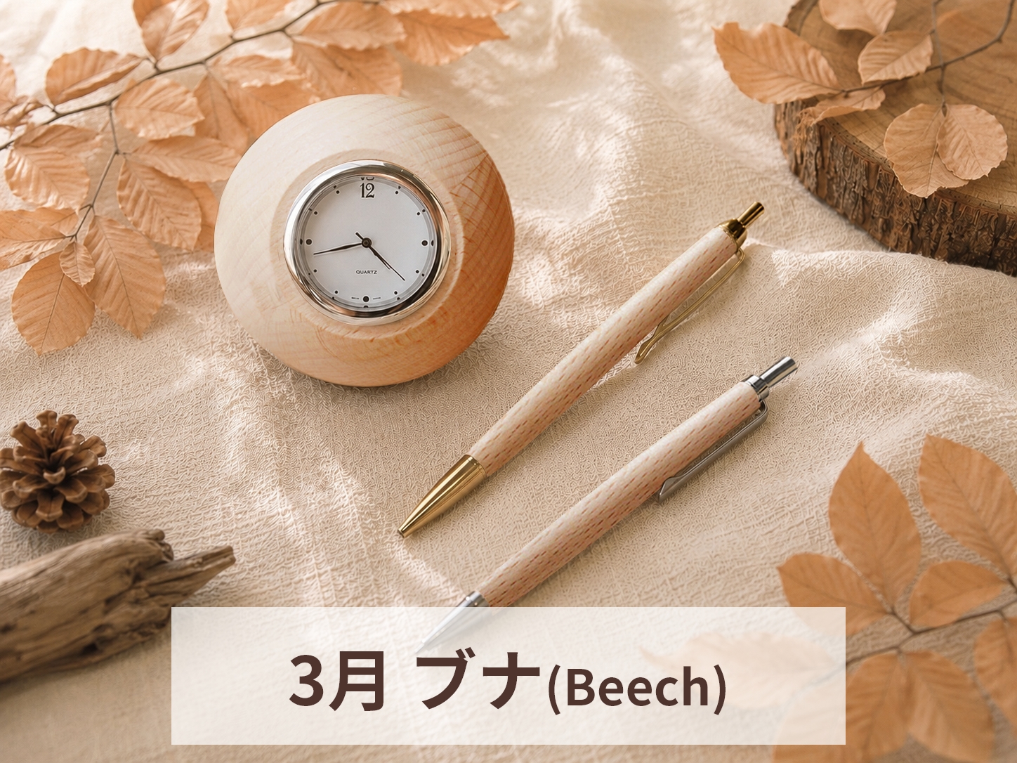 3月　ブナ(Beech)