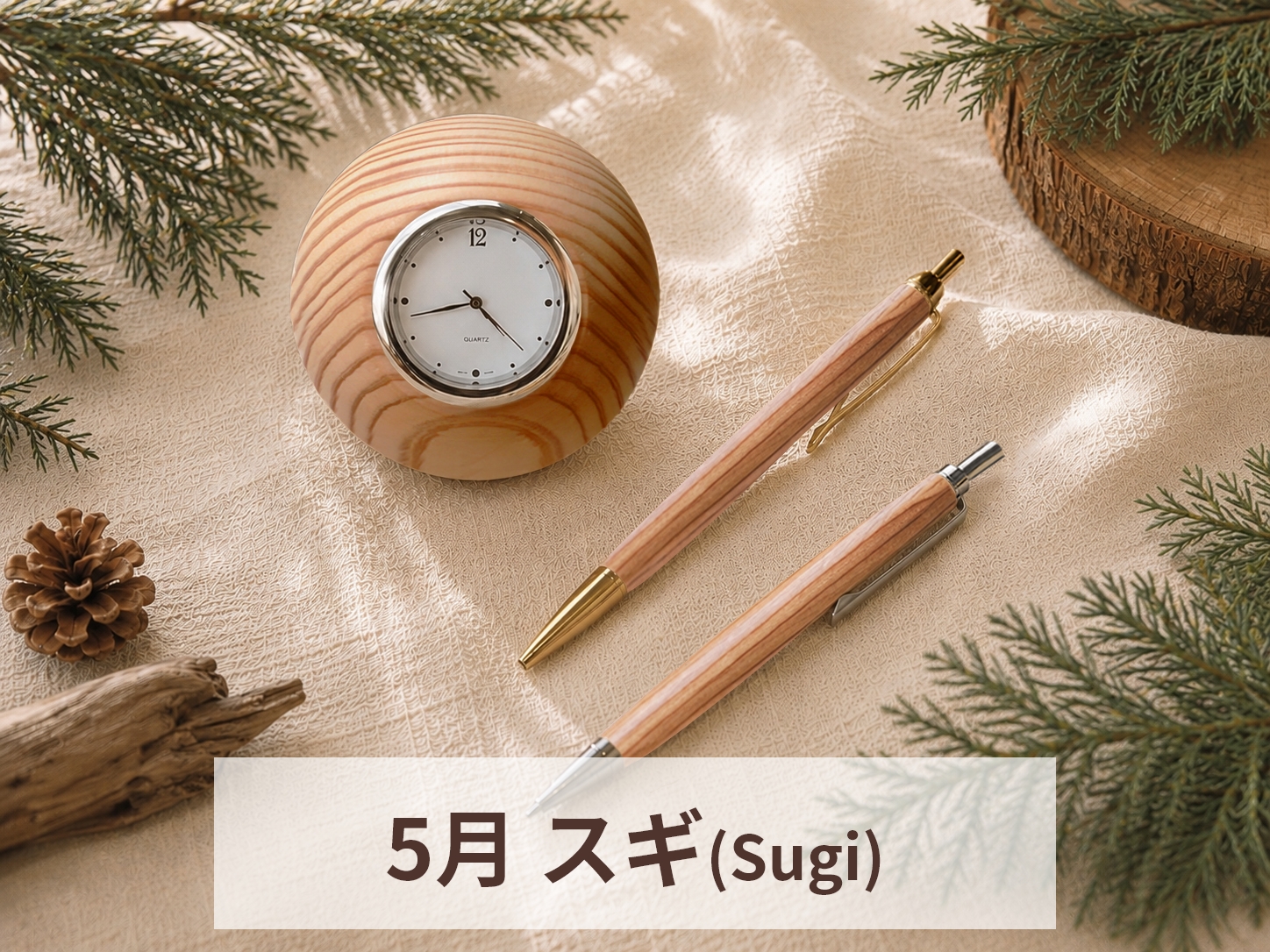 5月　スギ(Sugi)