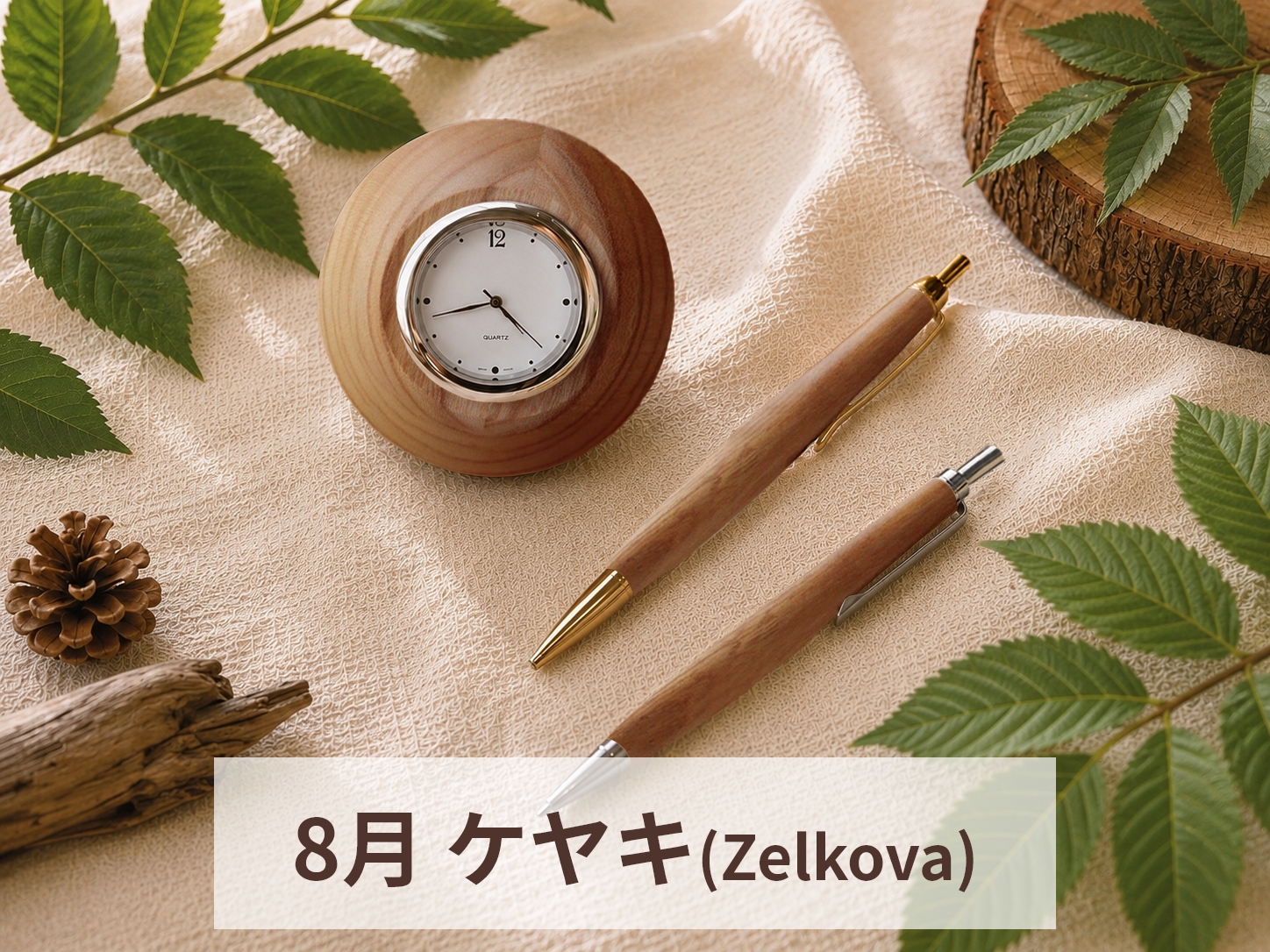 8月　ケヤキ(Zelkova)