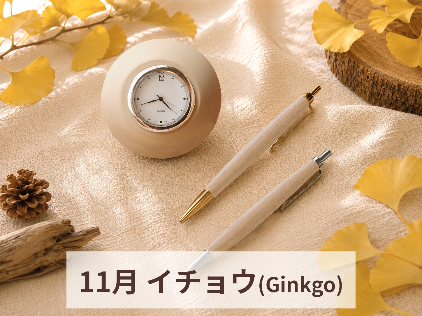 11月　イチョウ(Ginkgo)